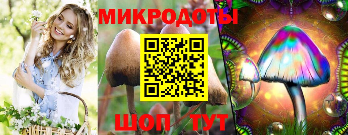Псилоцибиновые грибы ЛСД Лосино-Петровский